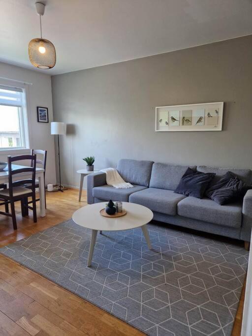 Apartment In Downtown Reykjavík Buitenkant foto
